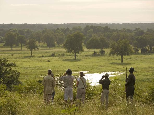 Puku Ridge - walking safari